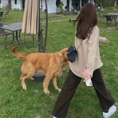 圣女歌声